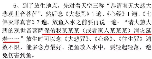 1533570485643854.jpeg 740.webp.jpg